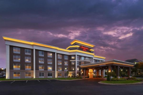 Hampton Inn Holland